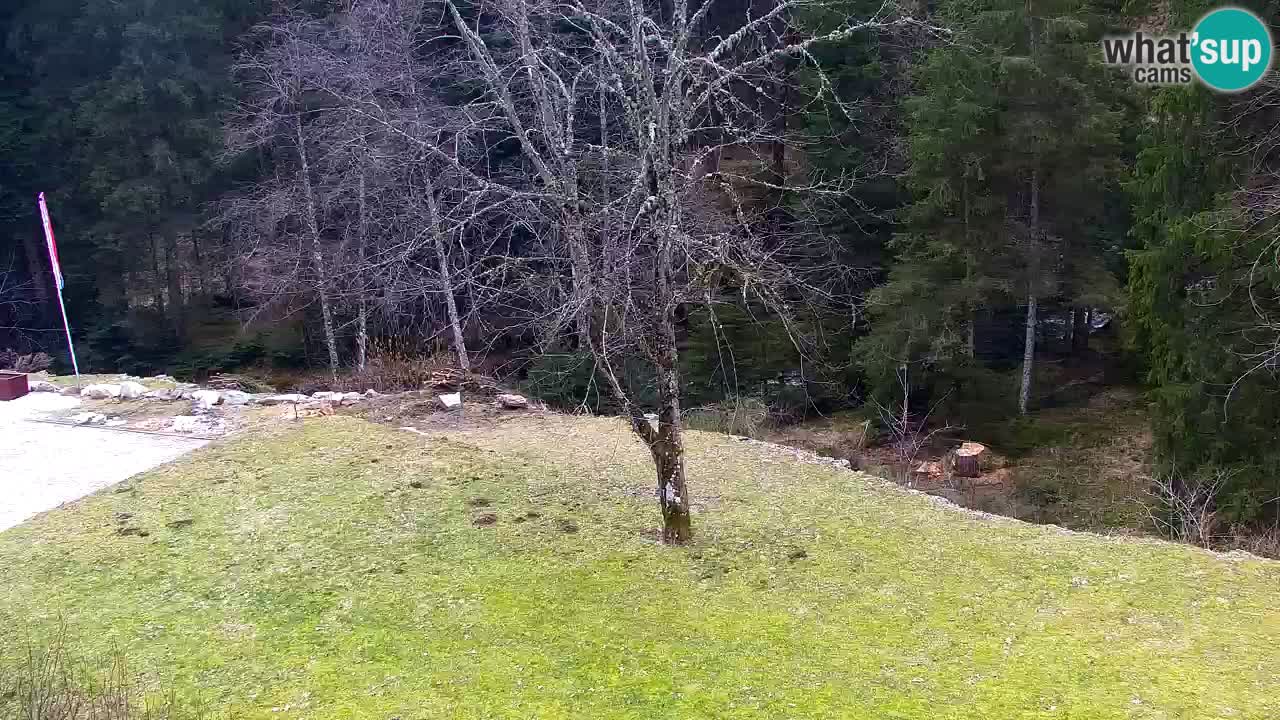 Web kamera Lukanja – Water Village | Pohorje Houses