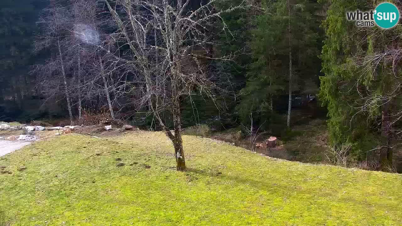 Webcam Lukanja – Water Village | Pohorje Houses