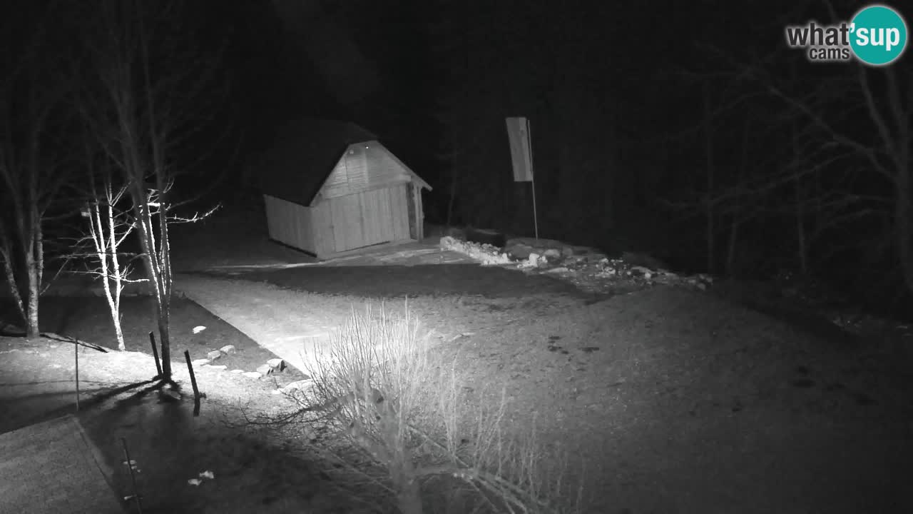 Webcam Lukanja – Water Village | Pohorje Houses