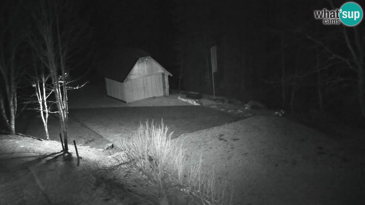 Webcam Lukanja – Pohorje houses a Water village