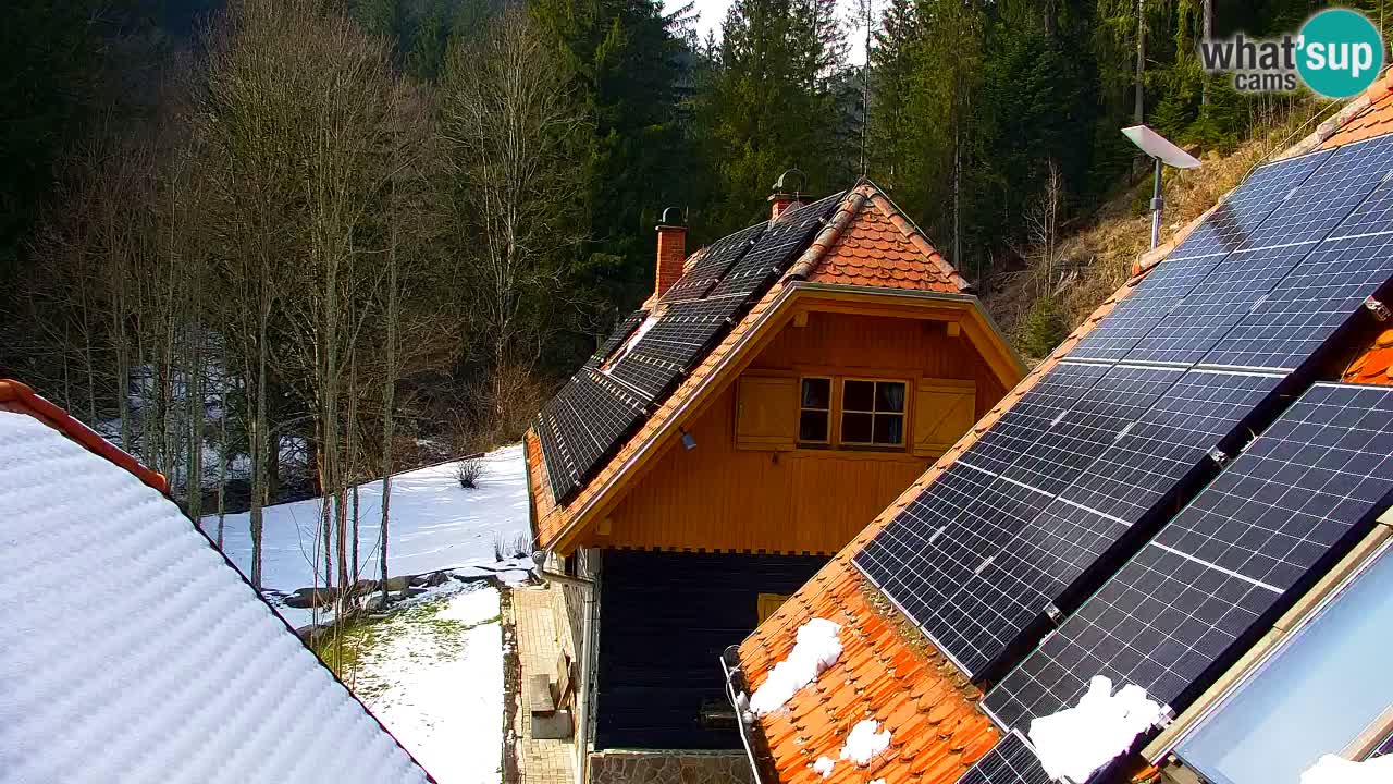 Web kamera Lukanja – Water Village | Pohorje Houses