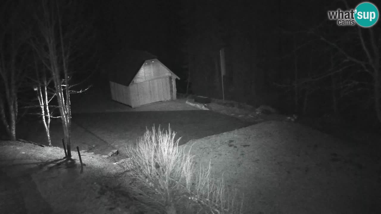 Webcam Lukanja – Pohorje houses a Water village