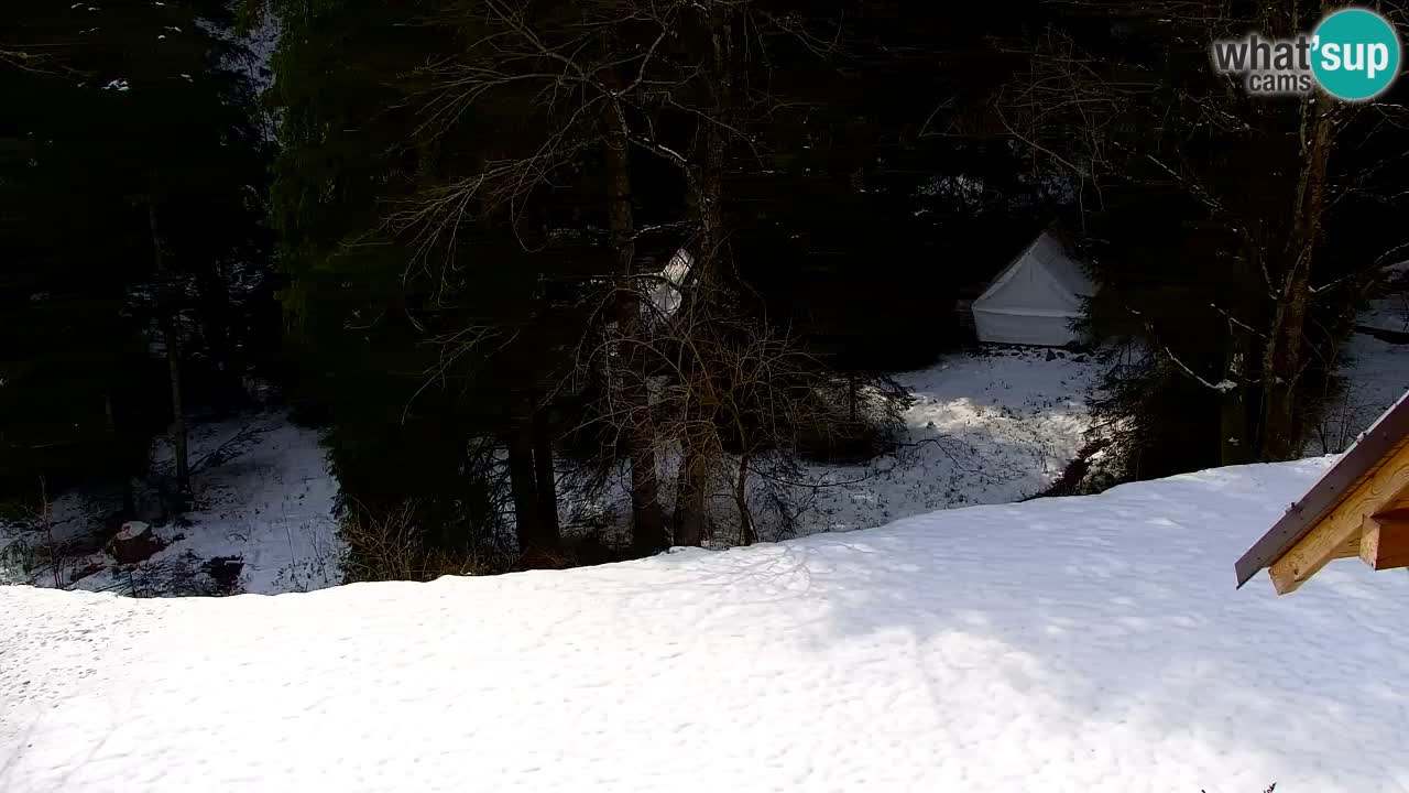 Webcam Lukanja – Pohorje houses a Water village