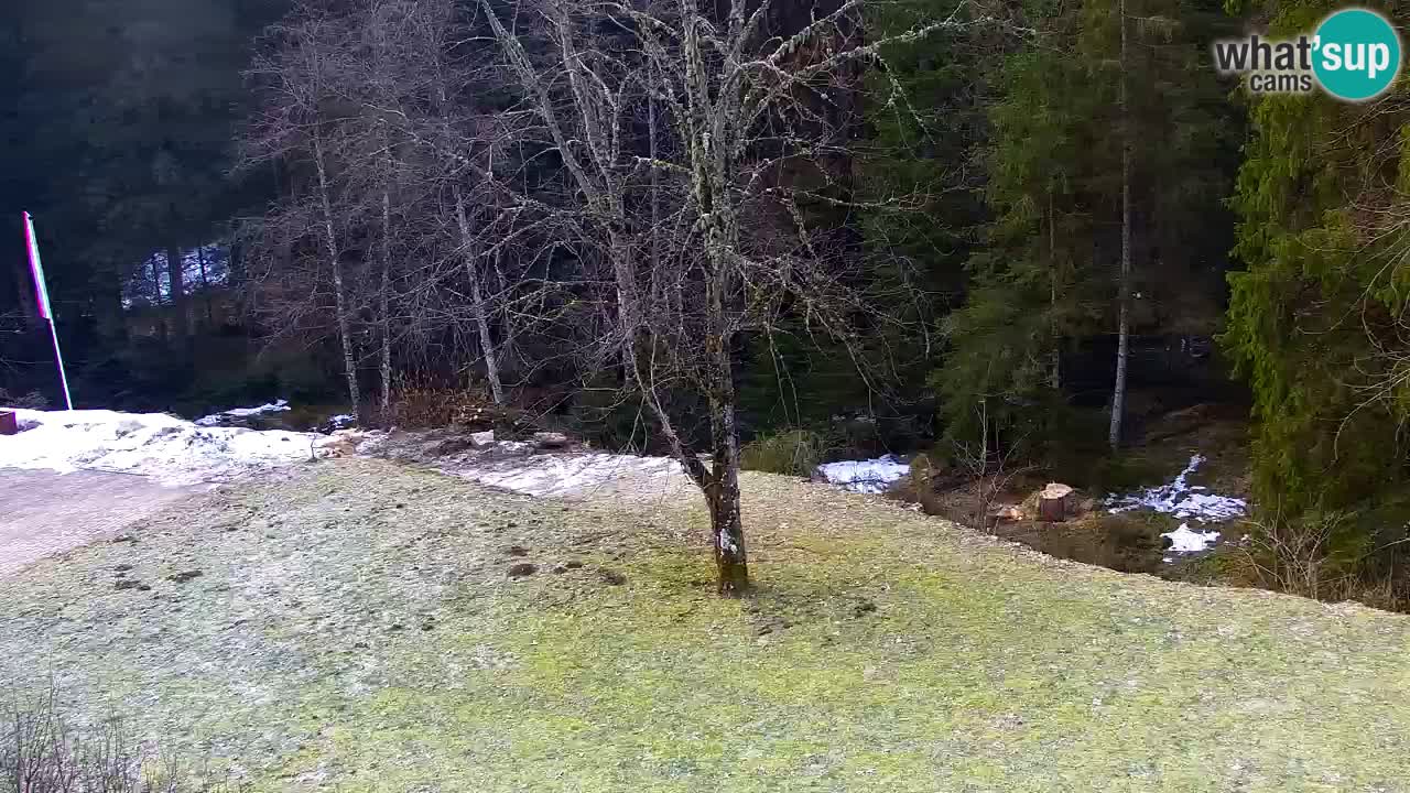 Webcam Lukanja – Pohorje houses a Water village