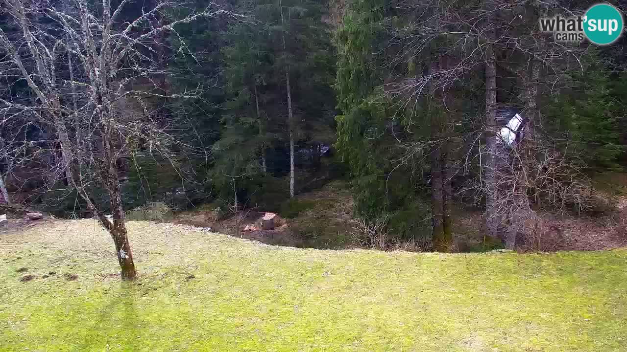 Webcam Lukanja – Pohorje houses a Water village