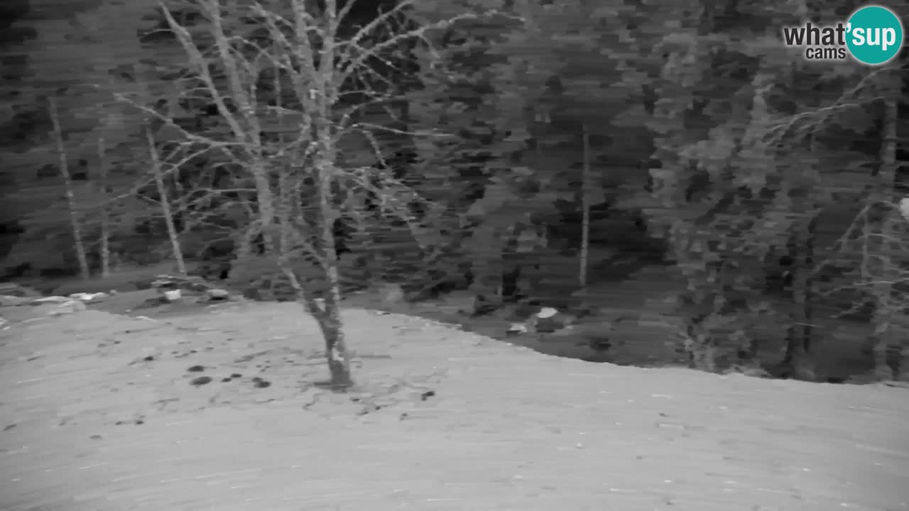 Webcam Lukanja – Water Village | Pohorje Houses