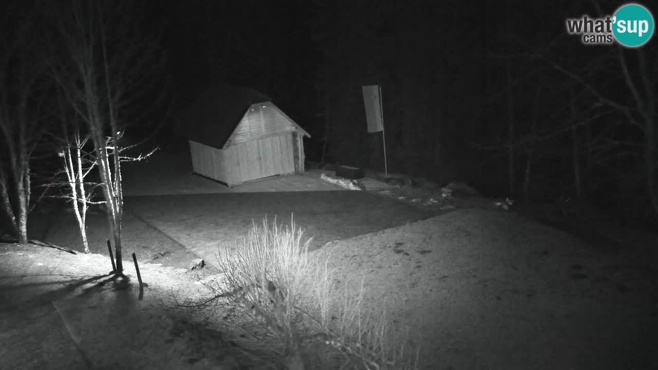 Webcam Lukanja – Pohorje houses a Water village