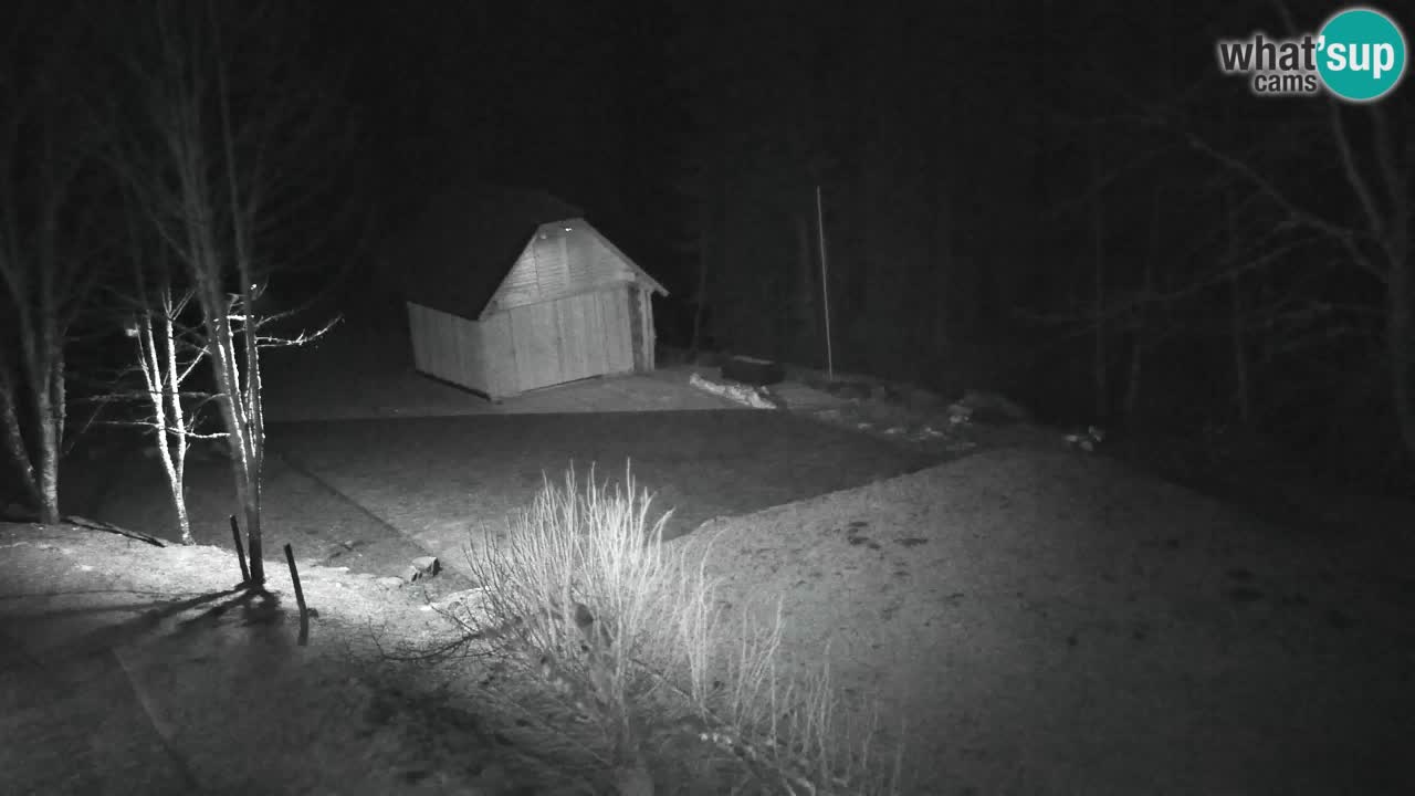 Webcam Lukanja – Pohorje houses a Water village