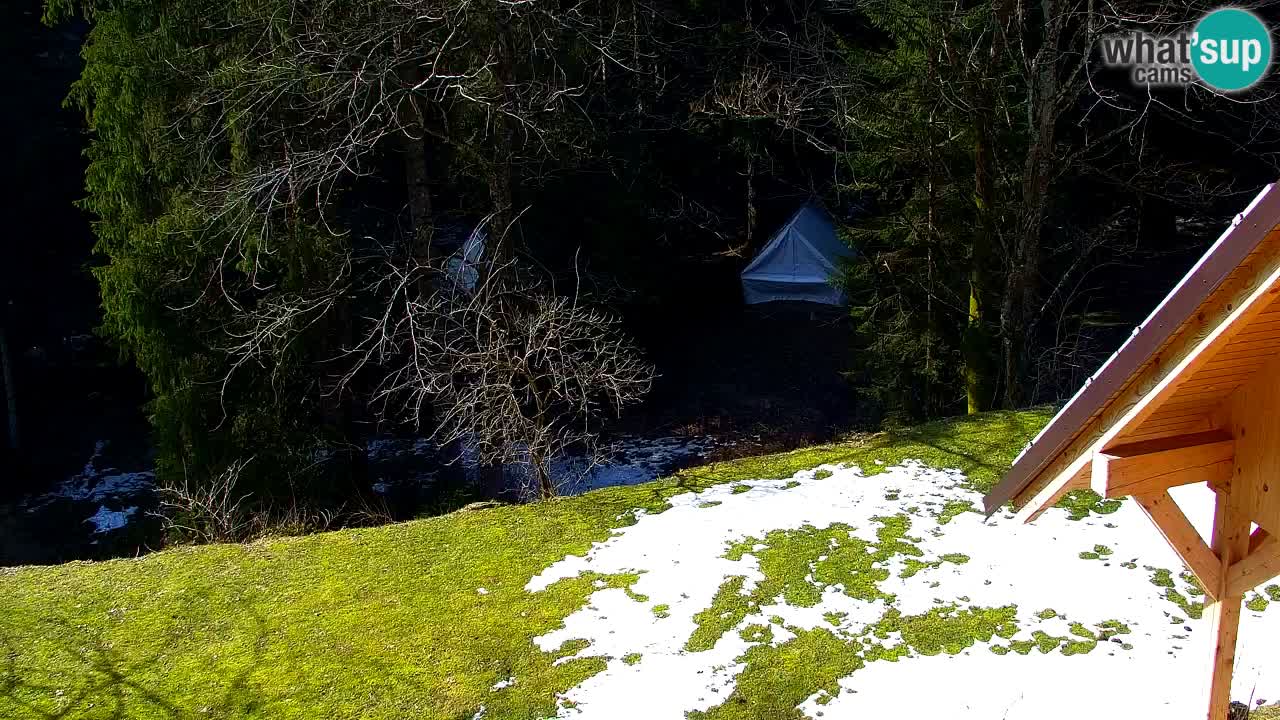 Webcam Lukanja – Pohorje houses a Water village