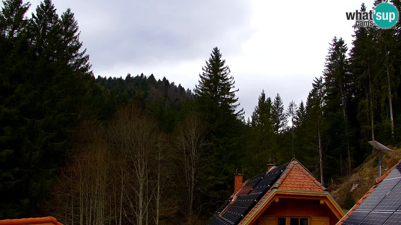 Webcam Lukanja – Pohorje houses a Water village