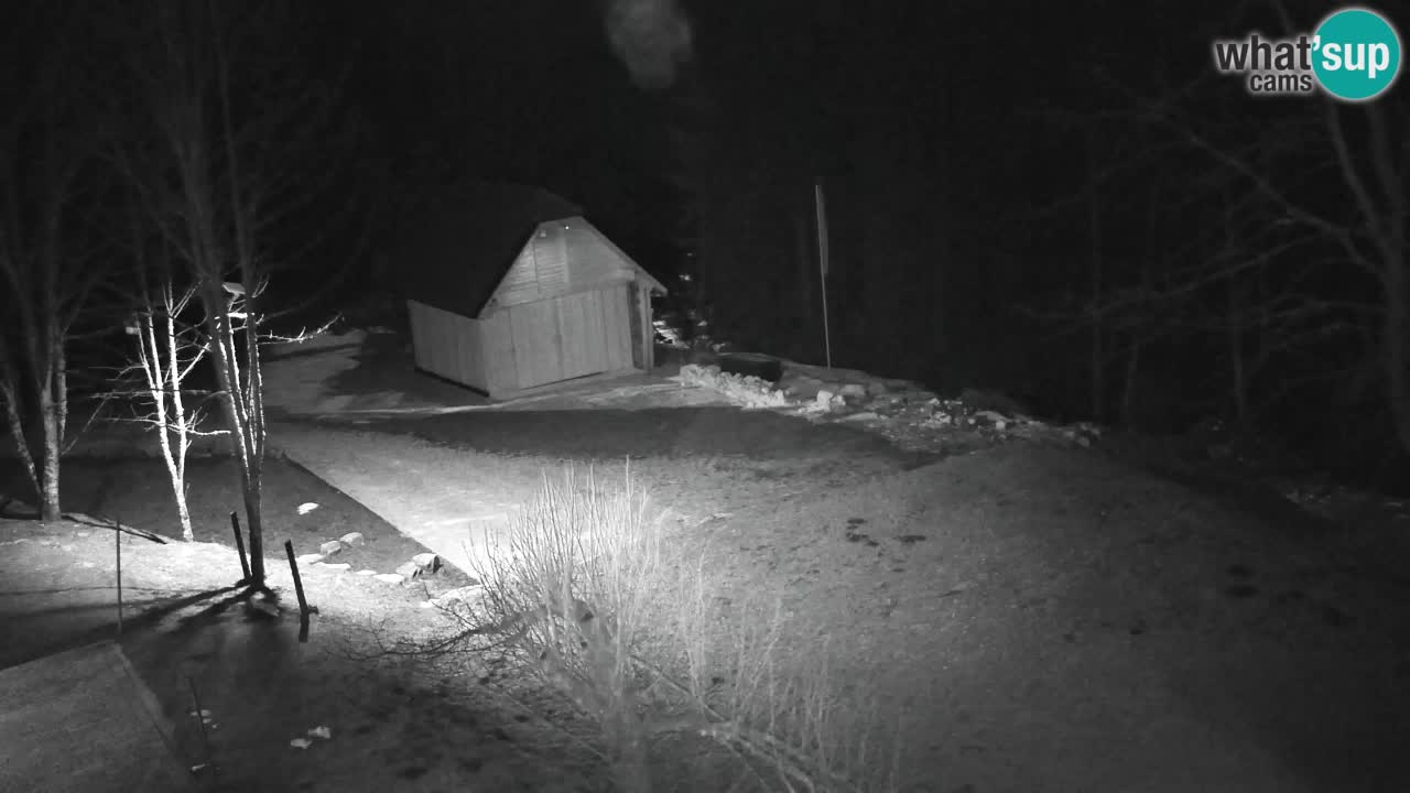 Webcam Lukanja – Water Village | Pohorje Houses