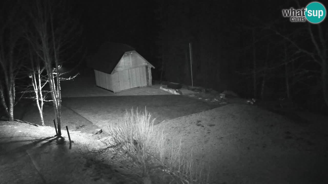 Webcam Lukanja – Pohorje houses a Water village