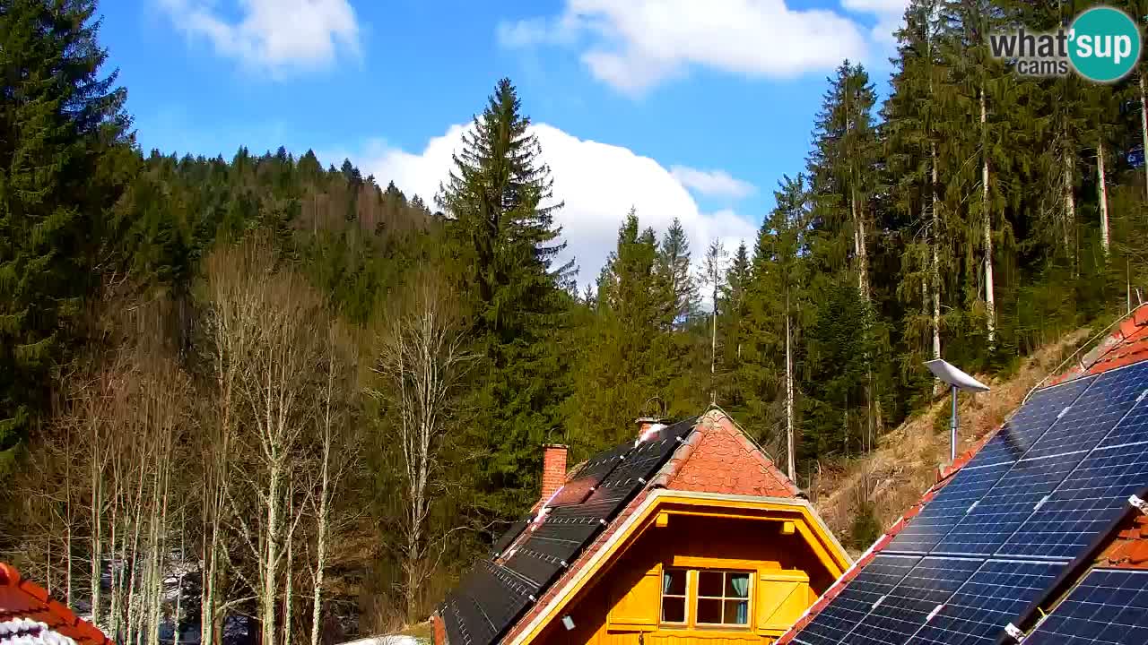 Web kamera Lukanja – Water Village | Pohorje Houses