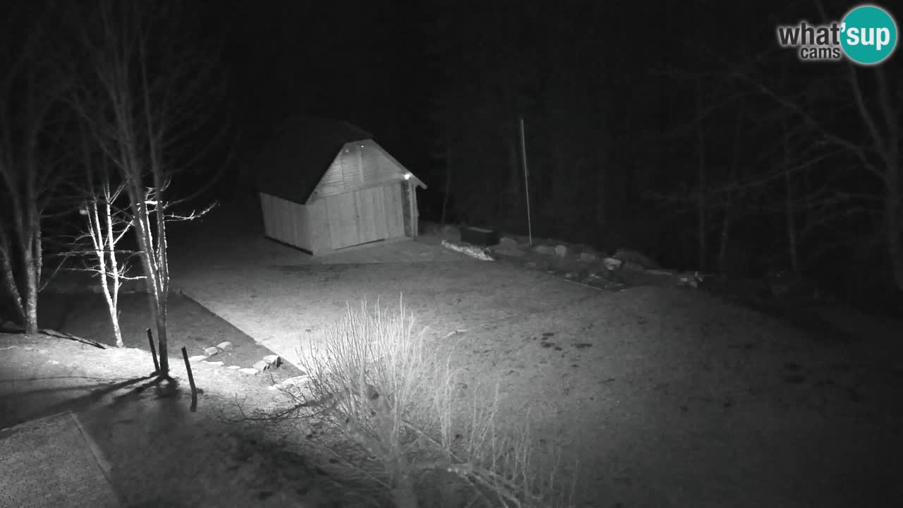 Webcam Lukanja – Pohorje houses a Water village