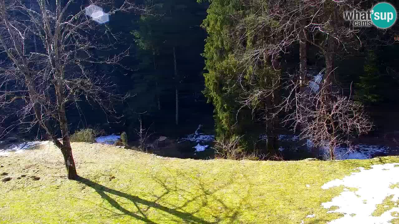 Webcam Lukanja – Water Village | Pohorje Houses