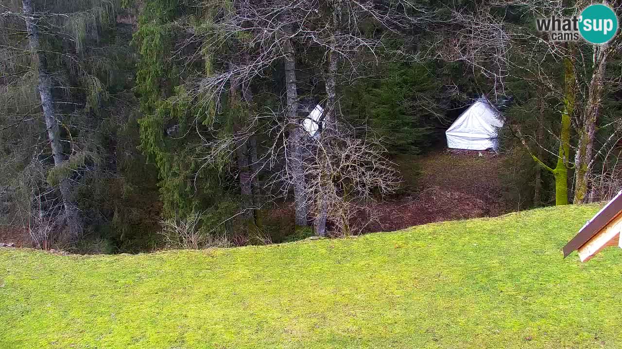 Web kamera Lukanja – Water Village | Pohorje Houses