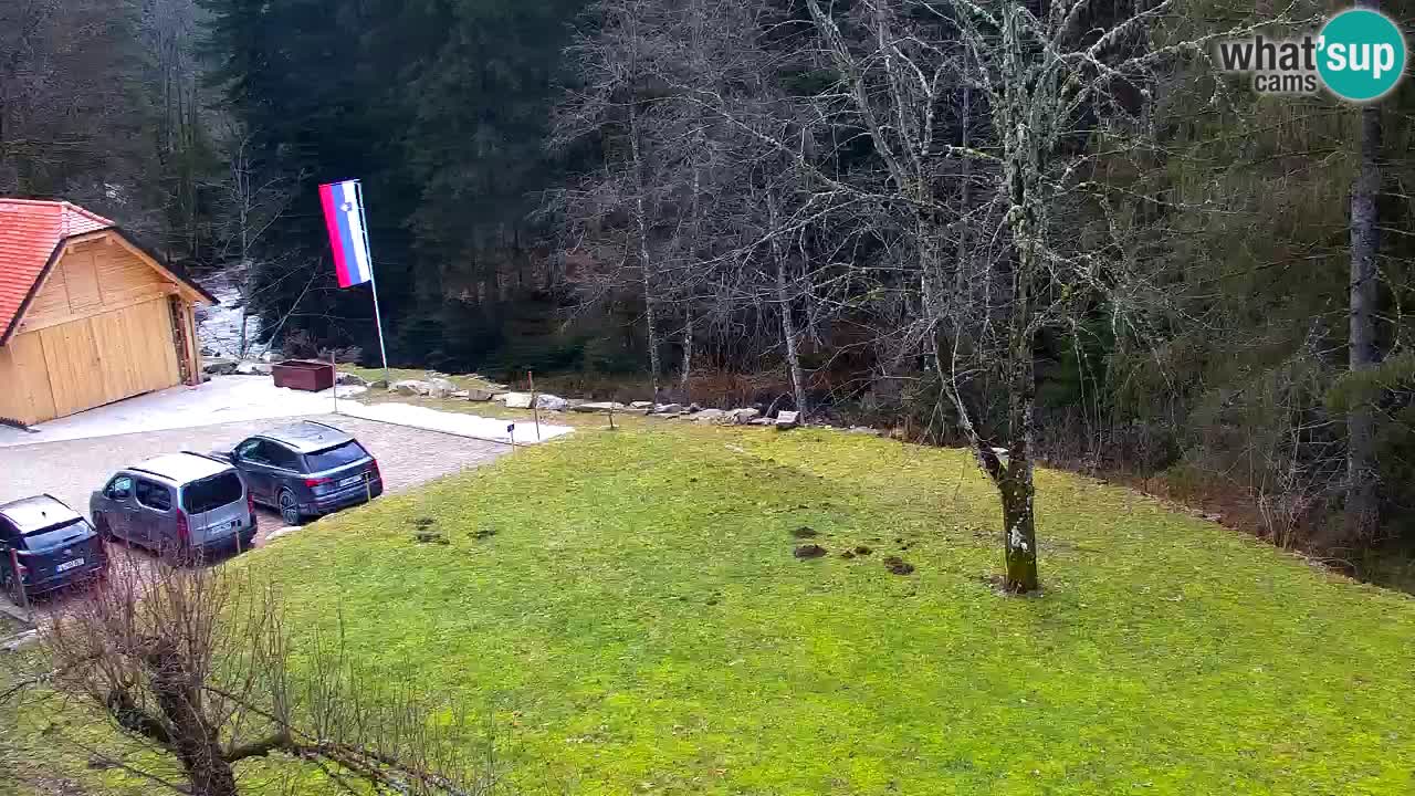 Webcam Lukanja – Pohorje houses a Water village