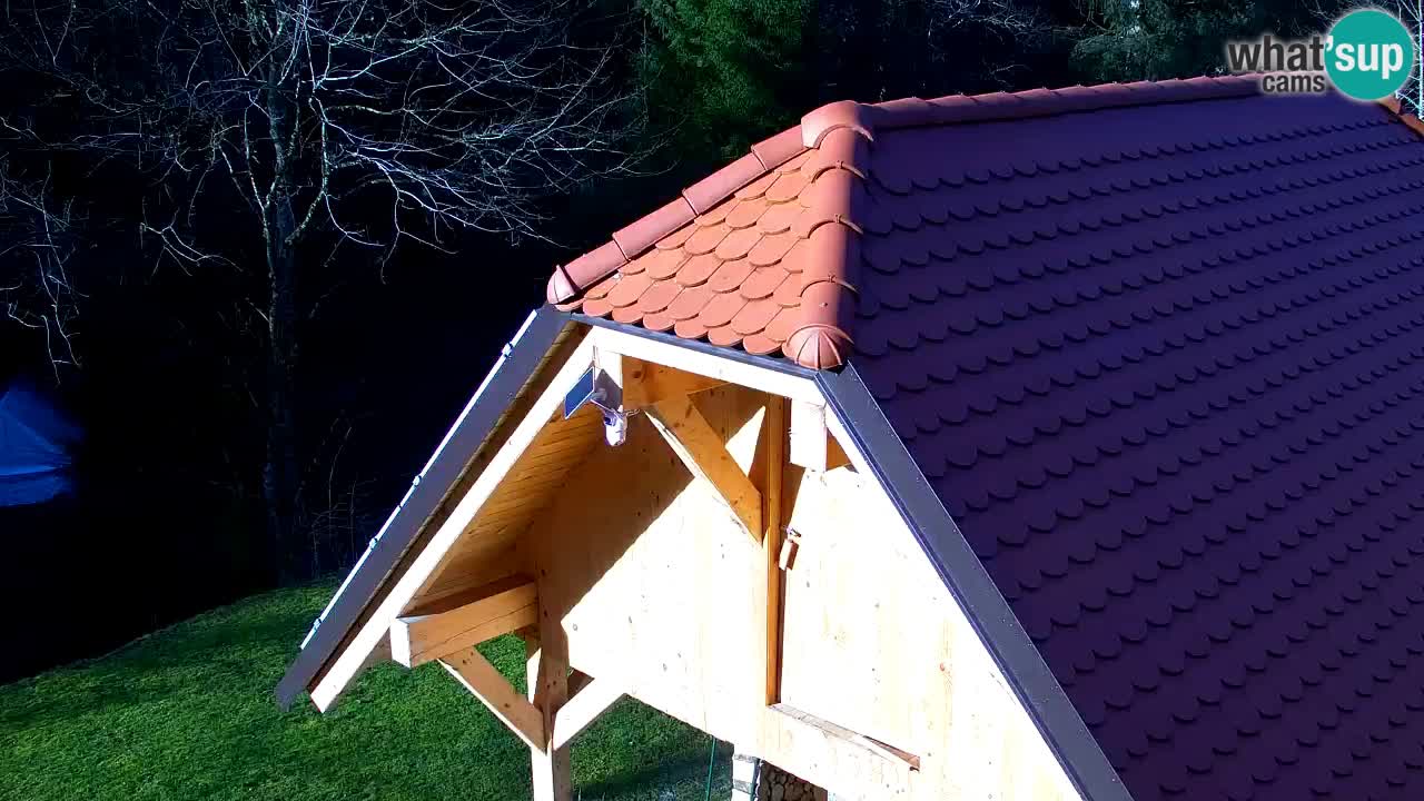 Webcam Lukanja – Pohorje houses a Water village