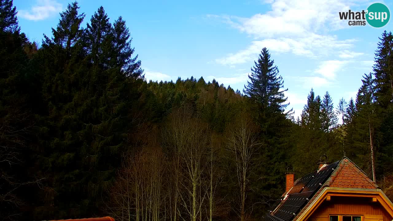 Webcam Lukanja – Water Village | Pohorje Houses