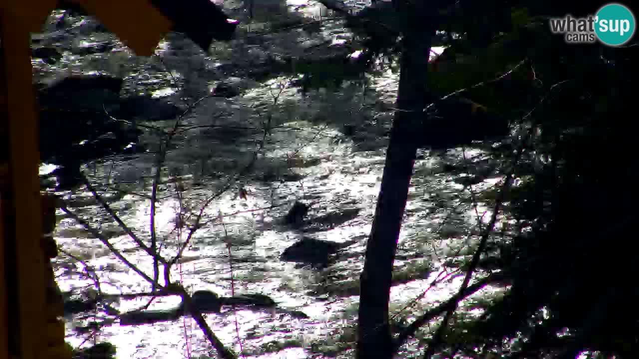 Webcam Lukanja – Water Village | Pohorje Houses