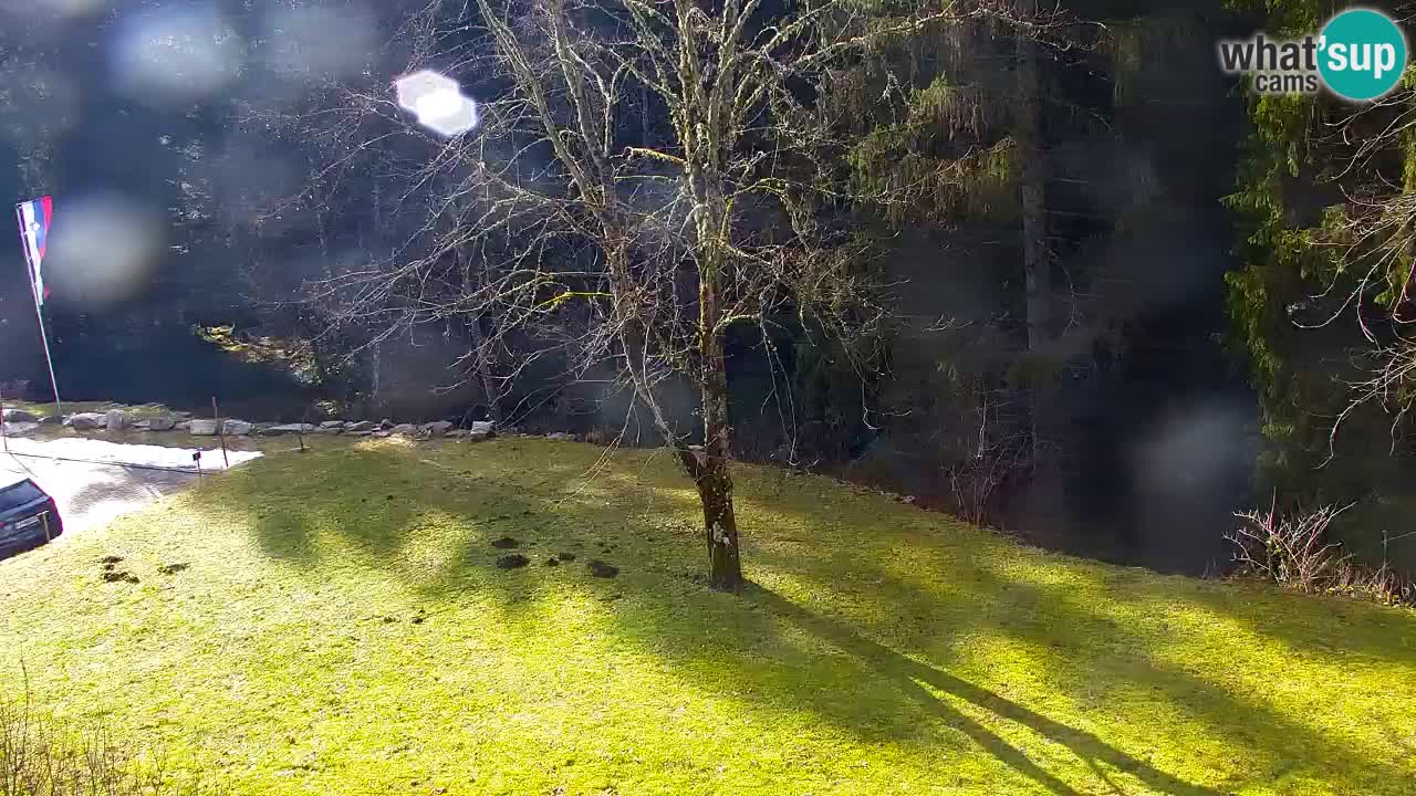 Webcam Lukanja – Water Village | Pohorje Houses