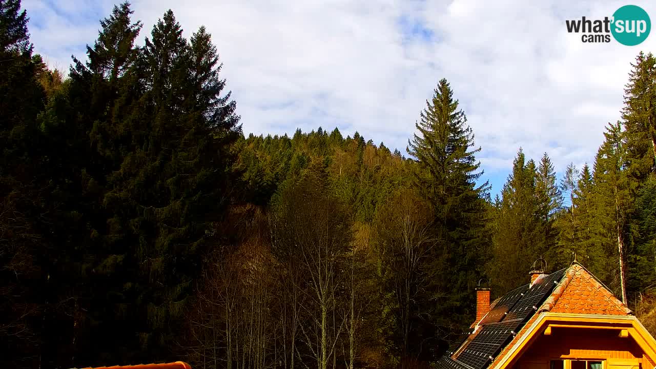 Webcam Lukanja – Water Village | Pohorje Houses