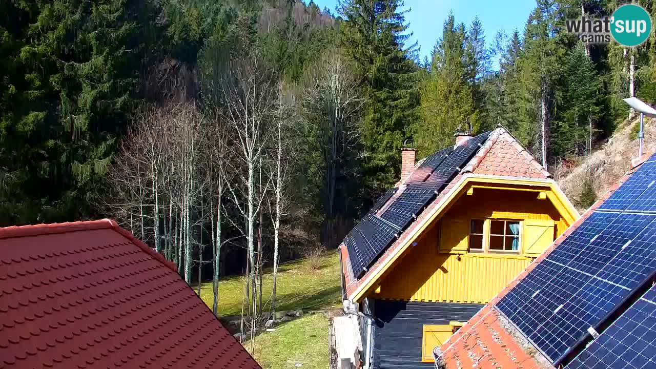 Webcam Lukanja – Water Village | Pohorje Houses