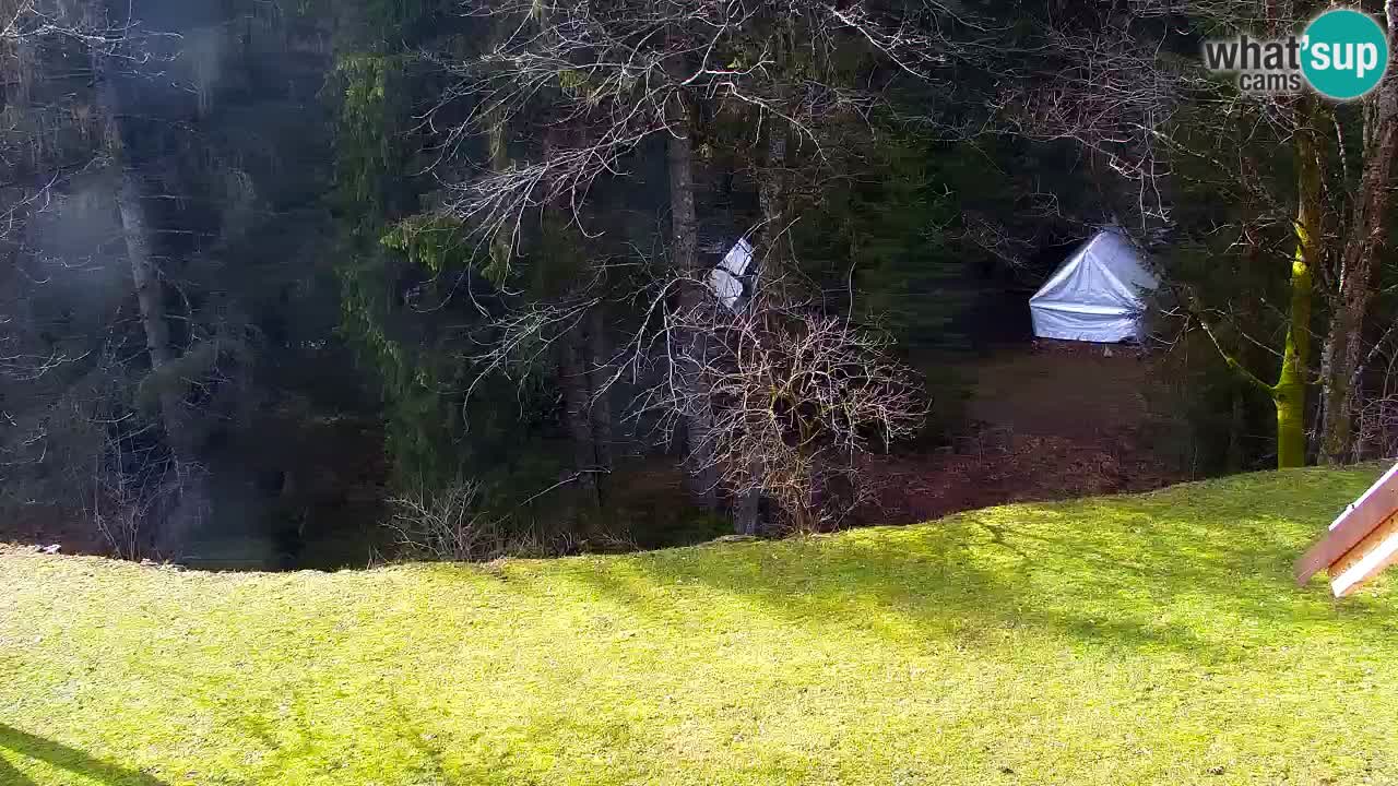 Web kamera Lukanja – Water Village | Pohorje Houses