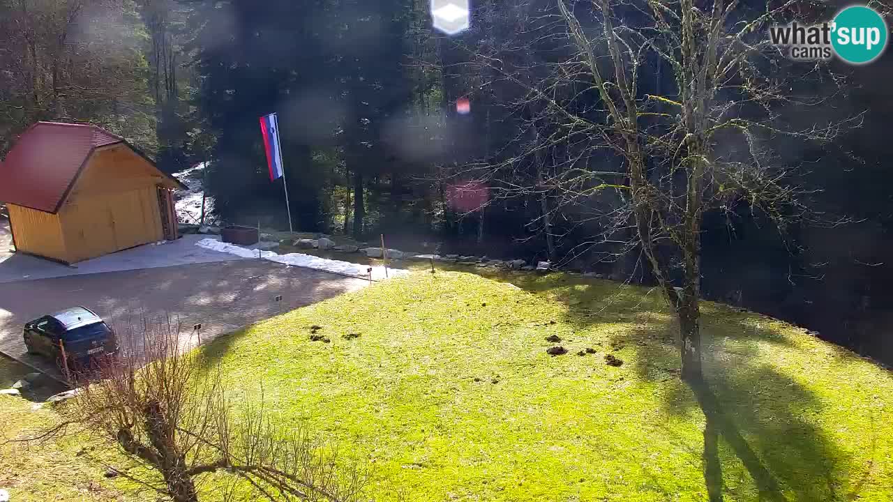 Webcam Lukanja – Water Village | Pohorje Houses