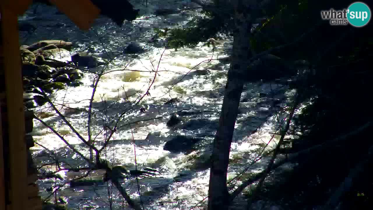 Web kamera Lukanja – Water Village | Pohorje Houses