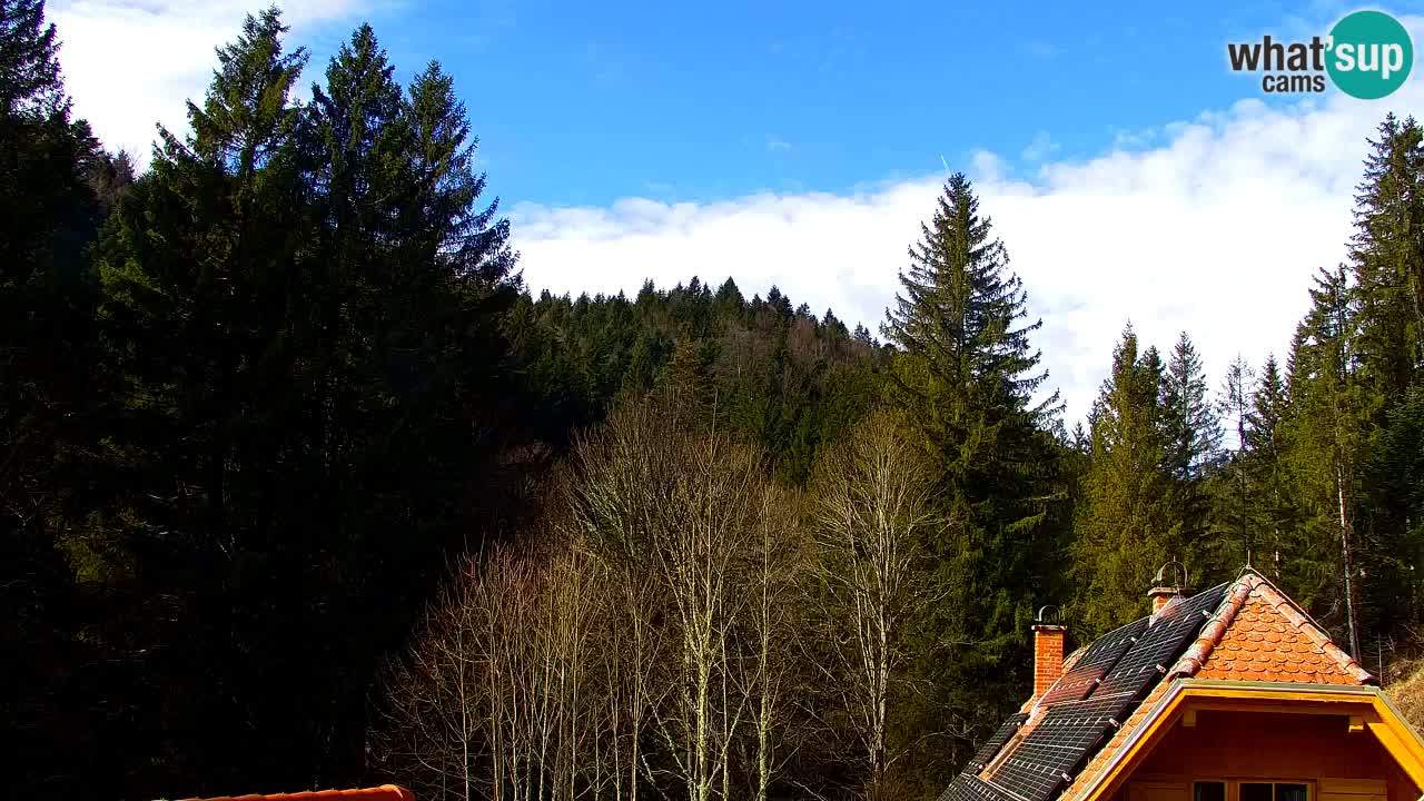 Webcam Lukanja – Water Village | Pohorje Houses