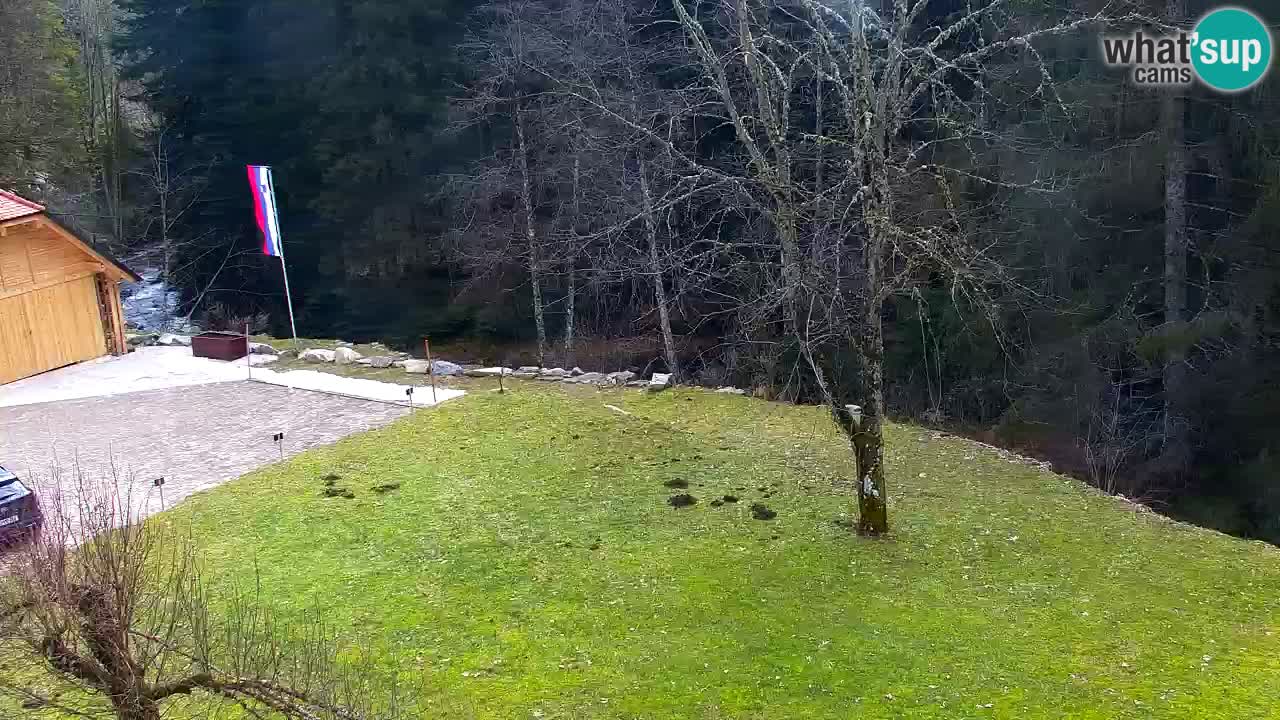 Spletna kamera Lukanja – Water Village | Pohorje Houses