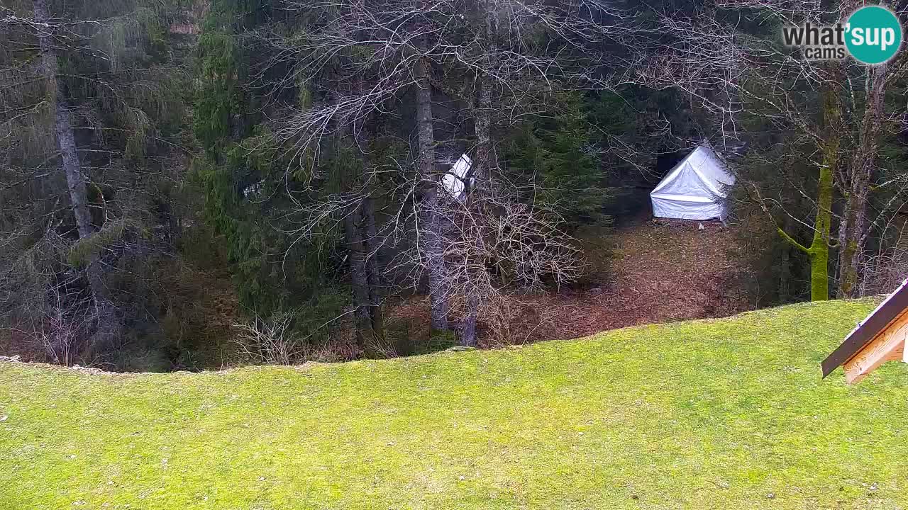 Spletna kamera Lukanja – Water Village | Pohorje Houses