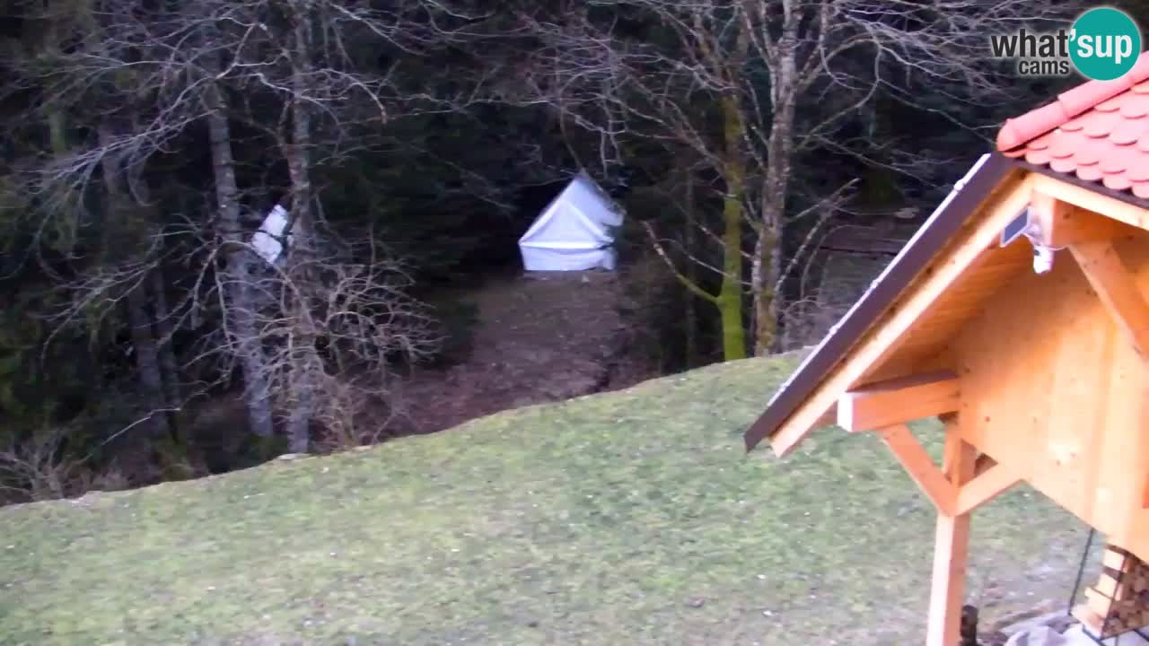 Webcam Lukanja – Water Village | Pohorje Houses