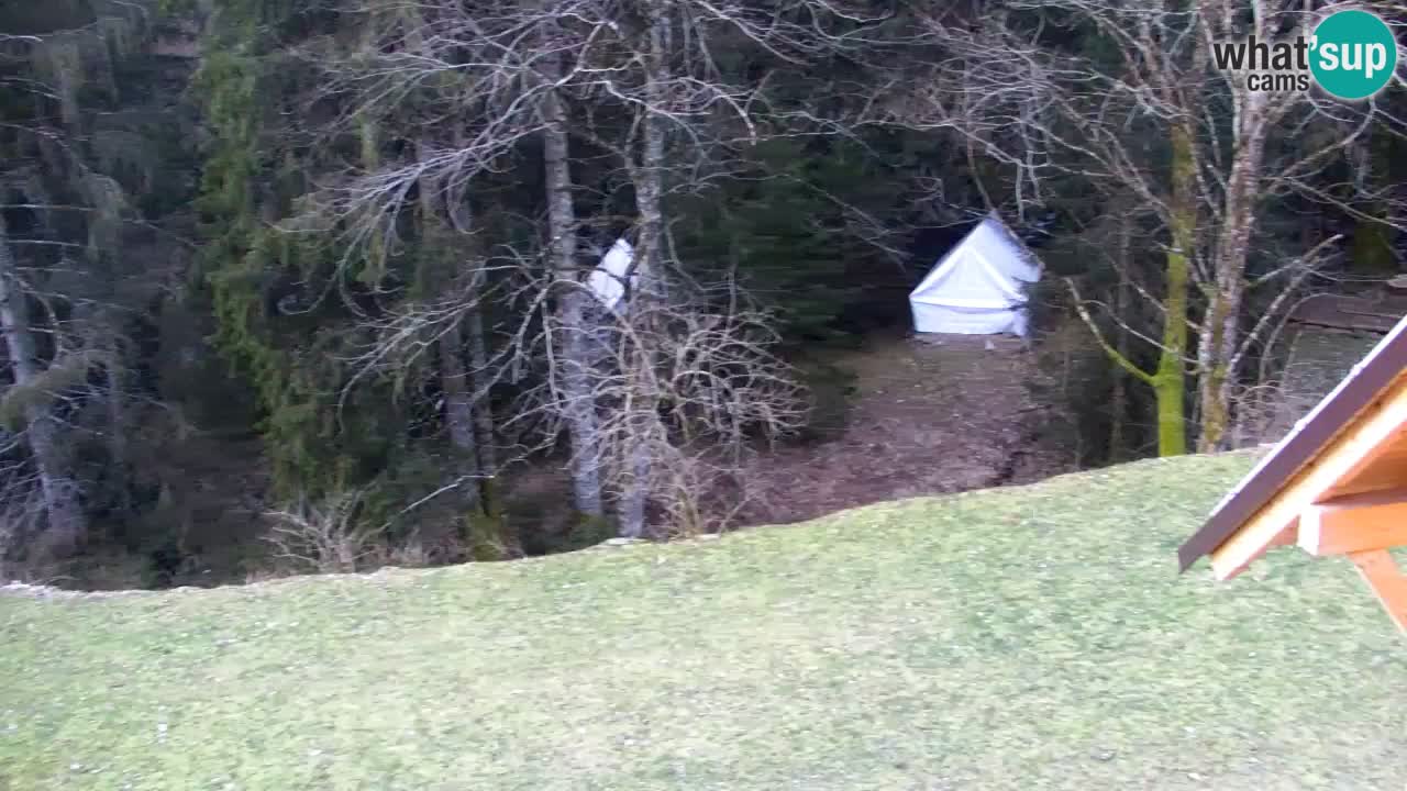 Spletna kamera Lukanja – Water Village | Pohorje Houses