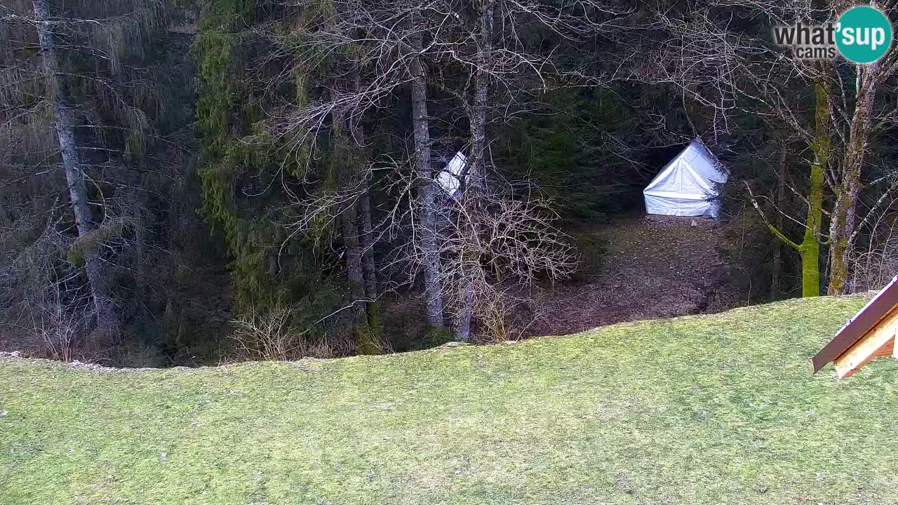 Spletna kamera Lukanja – Water Village | Pohorje Houses