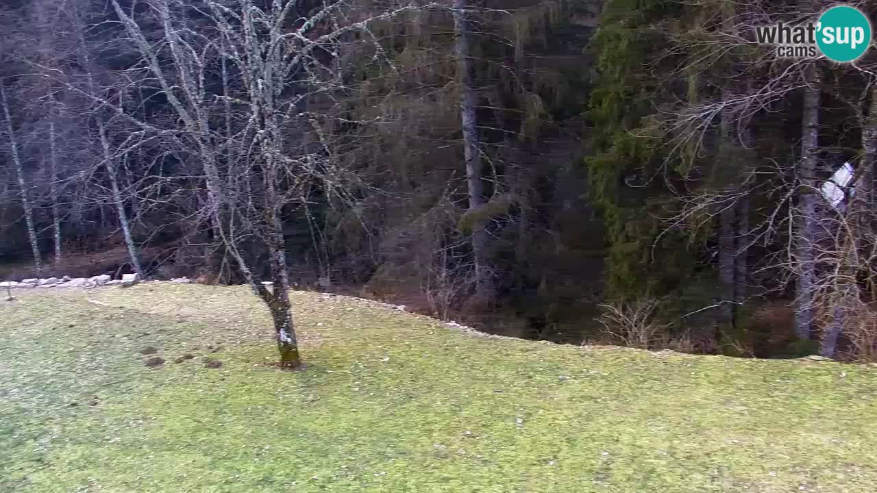 Webcam Lukanja – Water Village | Pohorje Houses