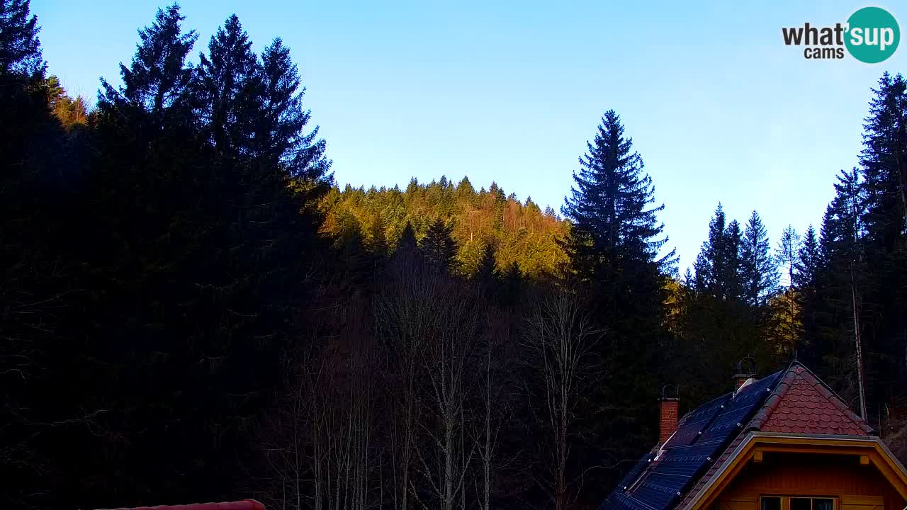 Web kamera Lukanja – Water Village | Pohorje Houses