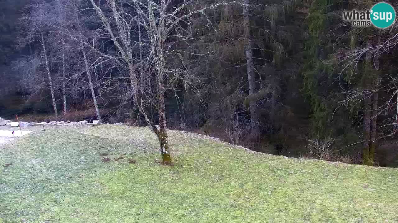 Web kamera Lukanja – Water Village | Pohorje Houses