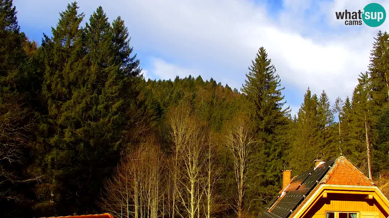 Web kamera Lukanja – Water Village | Pohorje Houses