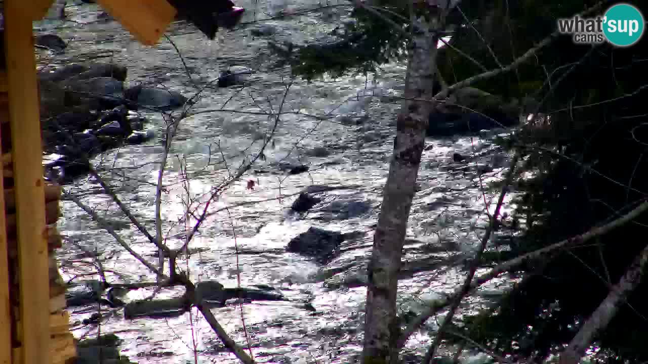 Webcam Lukanja – Water Village | Pohorje Houses