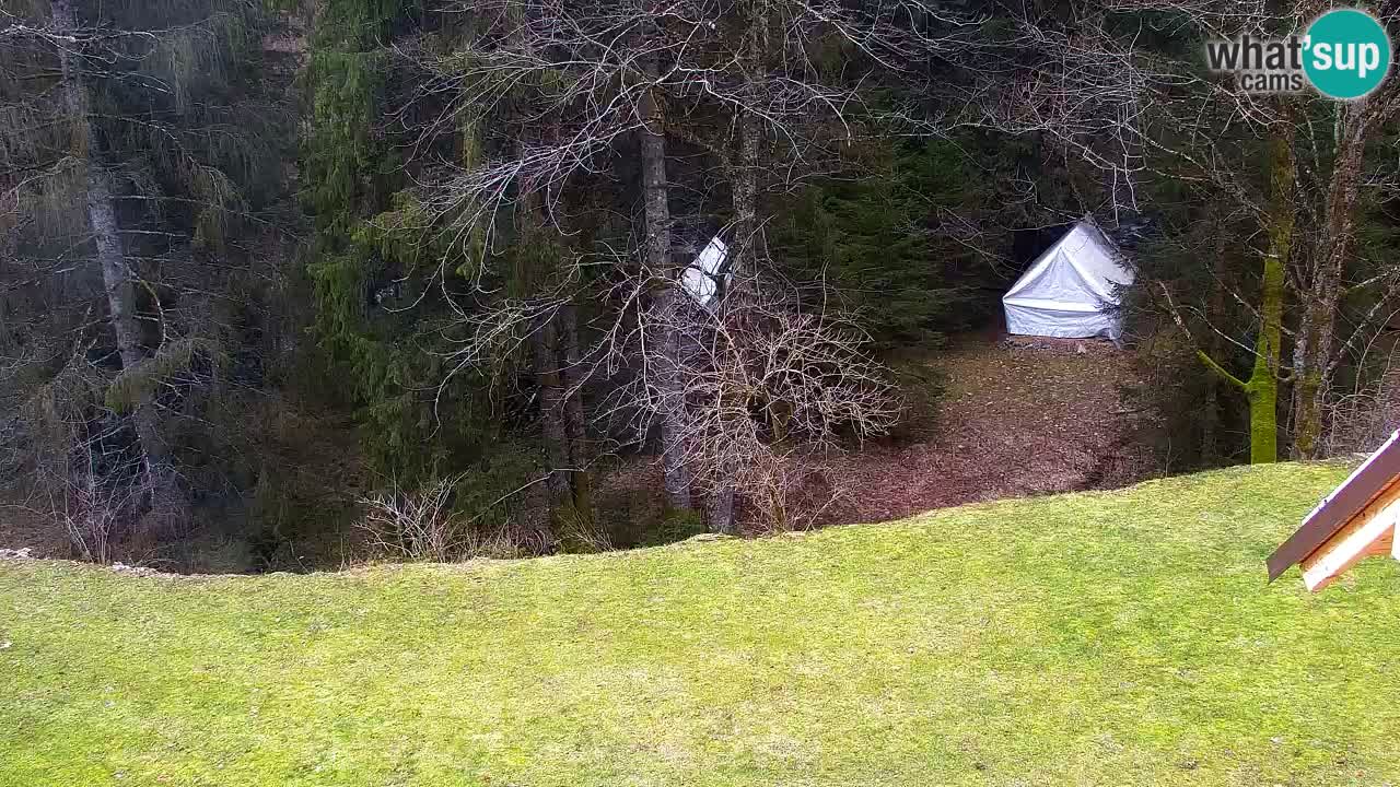 Webcam Lukanja – Pohorje houses a Water village