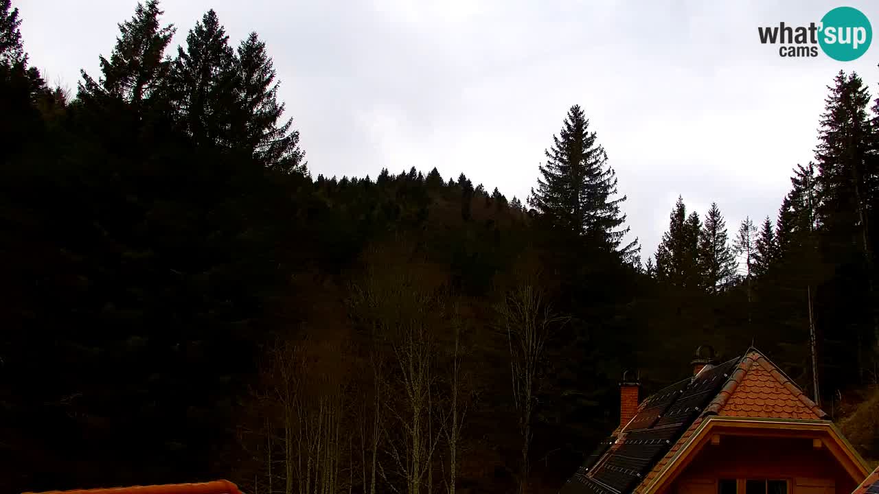 Spletna kamera Lukanja – Water Village | Pohorje Houses