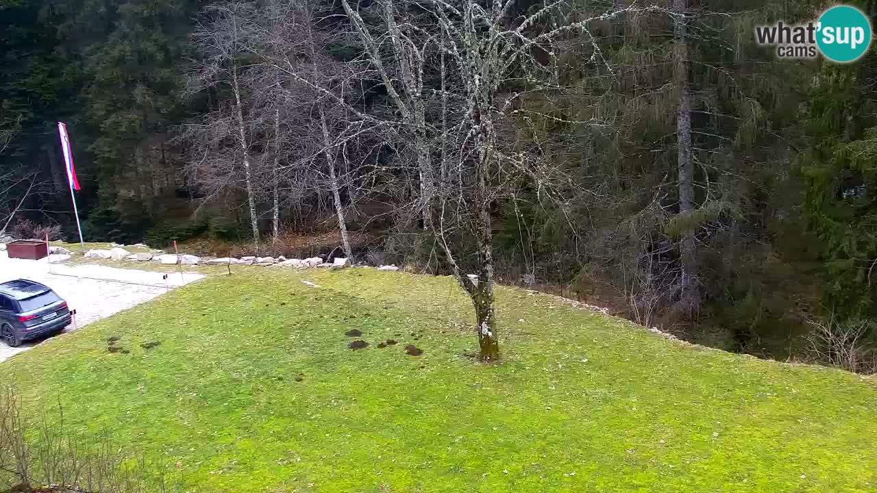 Webcam Lukanja – Water Village | Pohorje Houses