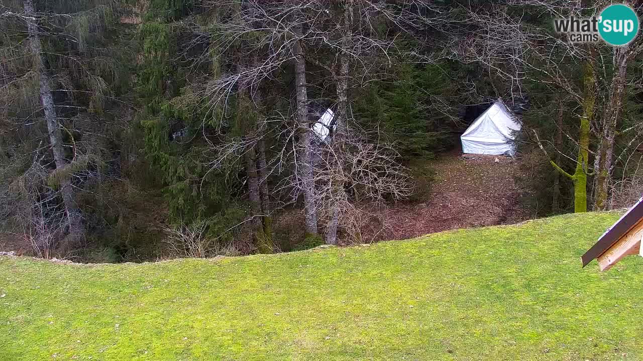 Webcam Lukanja – Pohorje houses a Water village