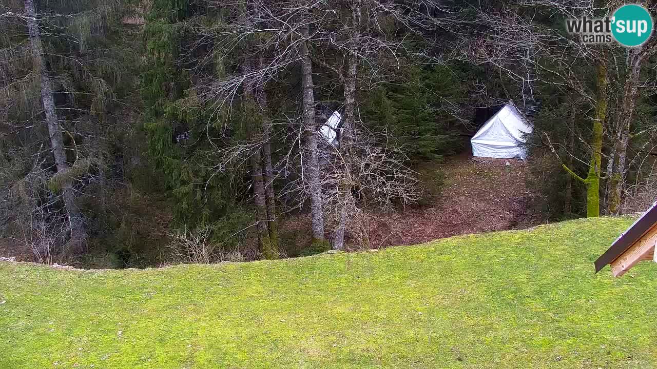 Webcam Lukanja – Water Village | Pohorje Houses