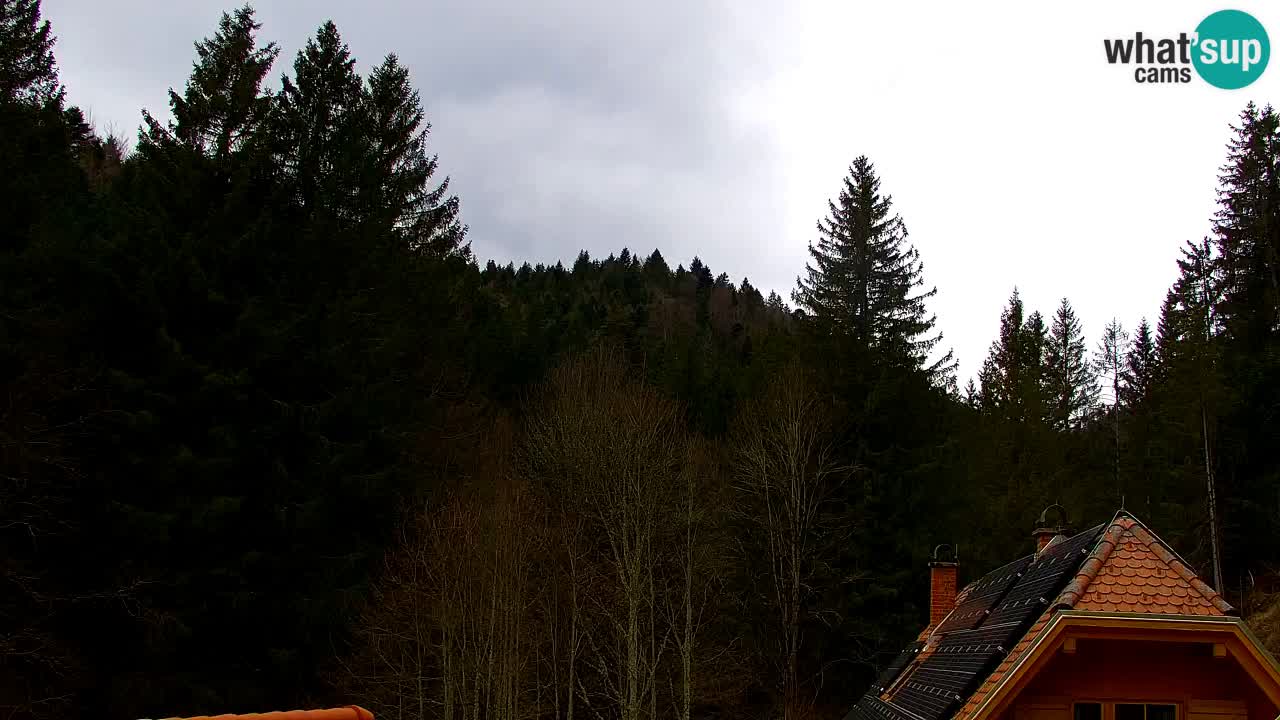 Webcam Lukanja – Pohorje houses a Water village