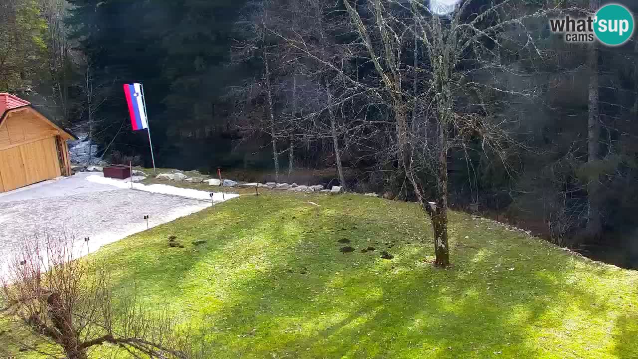 Webcam Lukanja – Water Village | Pohorje Houses