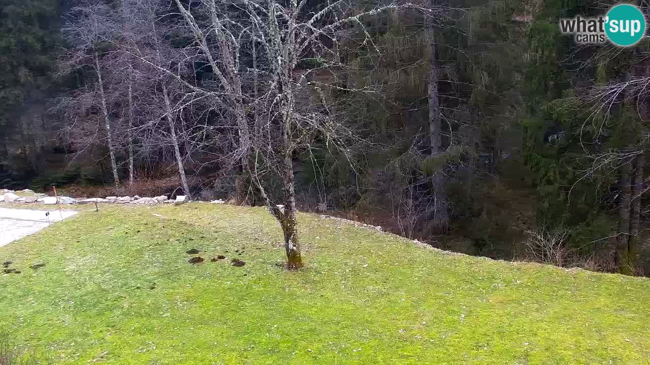 Web kamera Lukanja – Water Village | Pohorje Houses