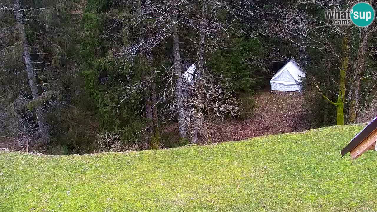 Webcam Lukanja – Water Village | Pohorje Houses